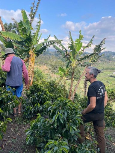 Zu Besuch auf der Farm